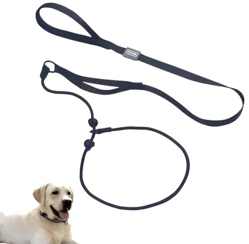 Slip Lead For Dogs, Slip Lead, Dog Slip Lead, Anti Pull Dog Lead, No Collar Or Harness Needed. Durable & Weather Resistant Climbers Rope With Reflective Stitching