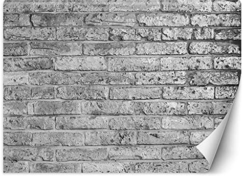 Premium Vinyl Fototapete Ziegelstein Textur 100x70 cm XXL Wandtapete Tapeten Wohnzimmer Schlafzimmer Jugendzimmer Büro Flur Hotel Spa Moderne Design Wand Dekoration Imitation Mauer Struktur Grau