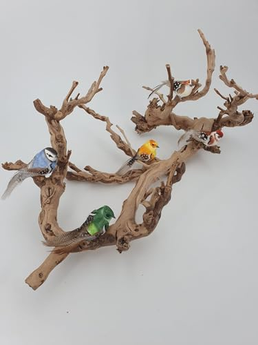 Vogelstange Weinrebe Rebholz – Naturdeko 50 x 30 cm – Jedes Unikat, Weinrebenholz für Terraristik, Garten, Balkon & Terrasse, schön verzweigt