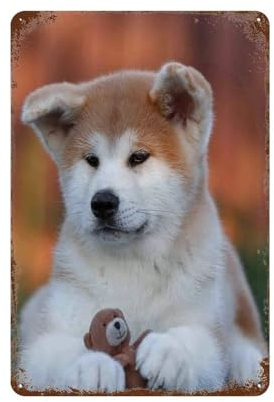 Akita Inu Hund,Vintage-Metall-Blechschild für Zuhause, Café, Büro, Wandkunst, Metall-Poster, Garage, Dekoration, Männerhöhle, Schild, inspirierendes Zitat-20 x 30 cm (8 x 12 Zoll) D-56