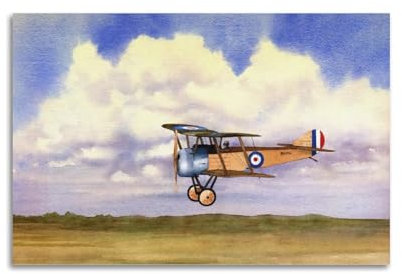 GTTHOK Britisches Militärflugzeug-Poster im 1. Weltkrieg, Motiv: Sopwith Welpe, Kampfflugzeug, dekoratives Gemälde, Leinwand-Kunstbild, 40 x 60 cm