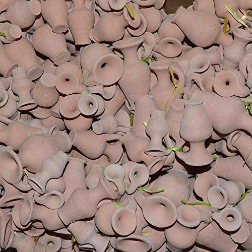 Set di 100 mini anfori in terracotta per fiori, acquario, decorazione fai da te, mini ampori floreali (20)