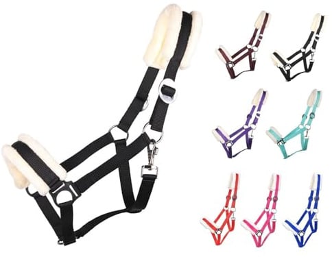NETPROSHOP Solides Pferdehalfter gepolstert und verstellbar Gr. Mini Shetty bis Full u Kaltblut, Groesse:Pony, Farbe:Schwarz