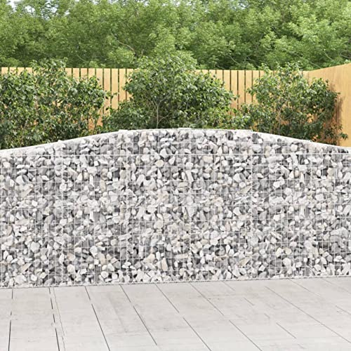ShCuShan Gabionen mit Hochbogen 20 STK GabionenköRbe Gabionen-Hochbeet Gabione Gabionengitter 400x50x100/120cm Verzinktes Eisen - 3145966
