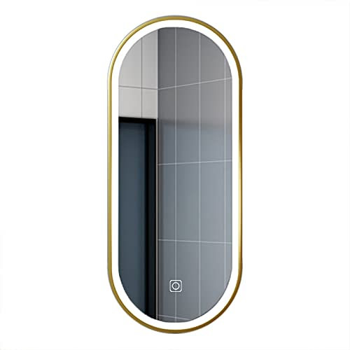 BomDog Led Oval Wandspiegel,Badezimmer Spiegel,Alumirahmen Beleuchteter Spiegel/One Color/40X80Cm(16X32Inch)