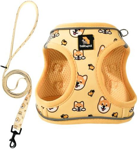 BELLA & PAL Small Dog Harness and Leash Set, Step-in Puppy Harness | Breathable Soft Mesh, Reflective Strips, Lightweight No-Pull Vest for Puppies/Small Dogs, Co-branded Collection x PJai, M