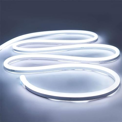 iNextStation Striscia LED al Neon 5M Bianco Freddo, 12V Nastri LED Neon 600LEDs Flessibile Impermeabile IP65, Silicone Luce Striscia LED Neon per Interior, Exterior, Bar, Festa, DIY(Senza Adattatore)