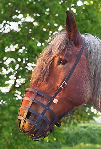 Heavy Horse Parts Fressbremse Strong Kaltblut M ohne Kehlriemen mit Standartbodenplatte