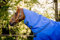Amigo Hero Ripstop Halsteil 0g M, blue/navy/grey