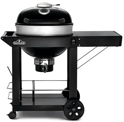 Barbecue Charbon de bois NAPOLEON PRO22CK-C Noir