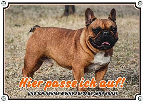 Petsigns Hundeschild mit der Franz. Bulldogge - Exklusives Warnschild - 1A Metallschild, DIN A4