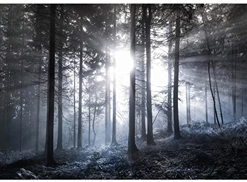 BRICOFLOR Leinwand Bild mit Wald in Schwarz Weiß | Wandbild mit Tannenwald in Nebel | Schlafzimmer Leinwandbild mit Wald und Sonnenstrahlen