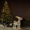 Just for Christmas Reindeer Decoration Ornament 70LEDs Pre Lit Large Xmas Deer Indoor Mantelpiece Window Sill Table Ornament 8 Lighting Modes Timer Function Battery Operated Indoor Novelty Decoration
