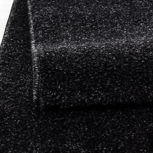 KADIMA DESIGN Moderner Teppich Uni Modern Pflegeleicht Zeitlos Waschbar Strapazierfähig Robust Rund Anthrazit 200x200 cm Esszimmer Wohnzimmer Saugroboter geeignet | Main