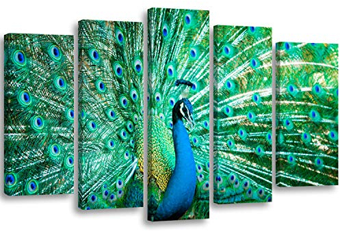 Feeby Bilder XXL 5-Teilig Pfau Typ A 200x100 cm Wohnzimmer Schlafzimmer Büro Flur Küche Wandbilder Leinwandbilder Modern Bild auf Leinwand Wanddekoration Kunstdruck Grün Blau