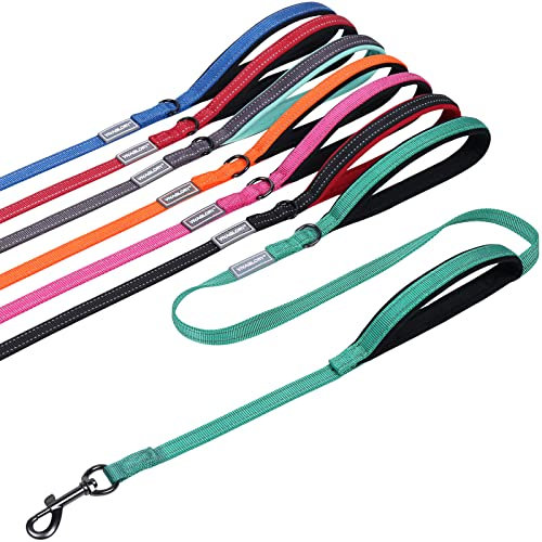 VIVAGLORY Twingrip Führleine Hund, Leine Hund Hausleine Joggingleine, Hundeleine mit 2 Griffen Doppelgriff, Gepolstert Neopren & Reflektierend, 1.5m x 1.4cm, Türkis