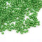 1100 Stück Glas Rocailles Perlen 4mm, 6/0, Ponyperlen Rund Mini Perle Seed Beads (Grün Silbereinzug)