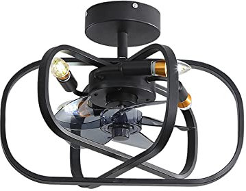 WDENI Caged Ceiling Fan with Lights and Remote, 17.7 Industrial Ceiling Fans with Lamps, Vintage Fan Light with 6 Speeds AC Motor and Timer for Living Room Kitchen Bedroom Farmhouse (Black)