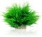 TAOMYPETS Aquarien Pflanzen Plastik Aquarium Dekor Korallenriff Ornamente (Grün)
