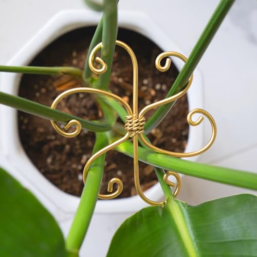 YOHSNOR Monstera - Sistema di supporto per piante da 10,4 cm, con gancio resistente per una crescita sana, stabilizzatore per foglie e gusci di tartaruga, facile da usare, per la cura delle piante da