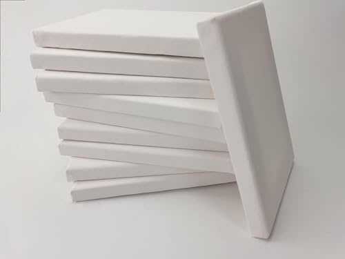 10 Stück MalerGallery Leinwand auf Keilrahmen 25x25 cm 30x40 cm 30x80 cm (25x25cm)