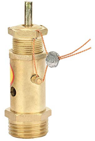 Clapet anti-retour de compresseur d'air, composants de rechange G1 / 2 du compresseur d'air(10KG Roulement À Pression)