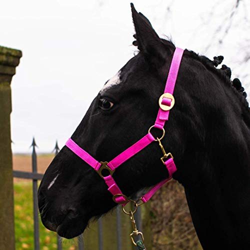 Halfter für Pferd Warmblut, Vollblut, Kaltblut – Stallhalfter, Weidehalfter, 2 Fach verstellbar an Kinnriemen und Genickstück, sicher & reißfest (Pink, Vollblut (Cob))