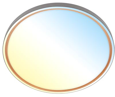 BRILONER - LED Deckenlampe mit Fernbedienung, dimmbar, CCT warmweiß bis kaltweiß, LED Lampe, Deckenleuchte, Wohnzimmerlampe, Küchenlampe, Deckenbeleuchtung, Flurlampe, 49x6,5 cm, Anthrazit