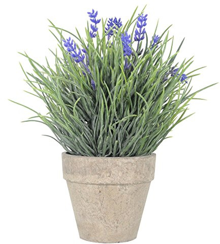 WINOMO Künstliche Blumen Plastik Lavendel Arrangements in Töpfen für Haus Gartendekoration, Bblau