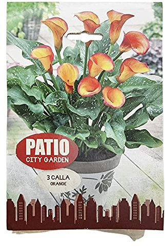 Summer Flowering Mixed Bulbs - Perennial - Ready to Plant for Your Beautiful Garden (3X Calla Orange)
