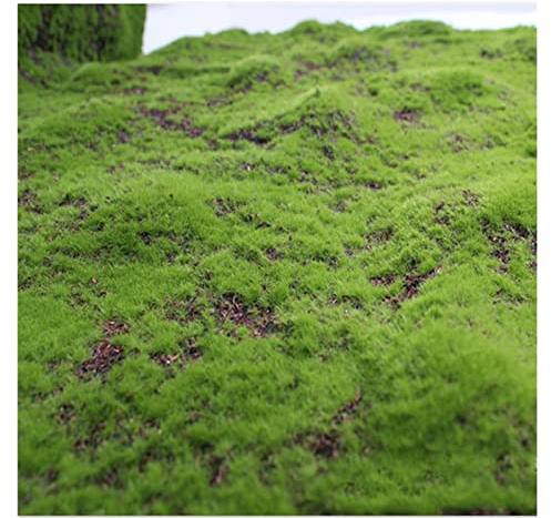 Aoisavch Tapis Mousse Mousse Artificielle, Bricolage Fausses Plantes Vertes Fausse Mousse for Les Fournitures décoration Salon Mur Jardin d'herbe, 8 Styles (Color : AC, Size : 3.28'x3.28'/1x1m)