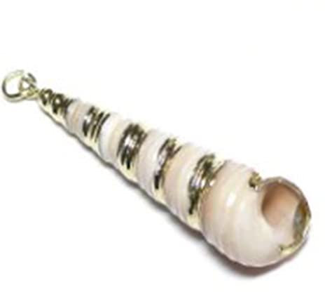 Muschel Kettenanhänger weiß mit vergoldeten Spiralen