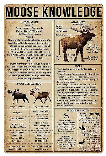 Elch Wissen Metall Blechschild Wandpaneel Retro Kunst Dekor für Zuhause Schlafzimmer Bar Cafe Bauernhof 20,3 x 30,5 cm
