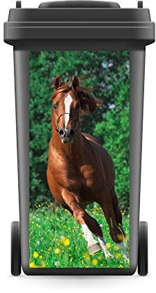 WERBEPUNKT. Aufkleber Mülltonne Pferd Wiese Natur 720 x 320 mm | Wetterfeste selbstklebende PVC-Folie, UV-bestaendiger Digitaldruck, stark haftend, Made in Germany