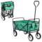 Bollerwagen Faltbar Handwagen Gartenwagen Strandwagen, Transportwagen, 2 Netztaschen, Belastung 80kg, Klappbar, Outdoor, Strand, Camping, Einkaufen (Grün)