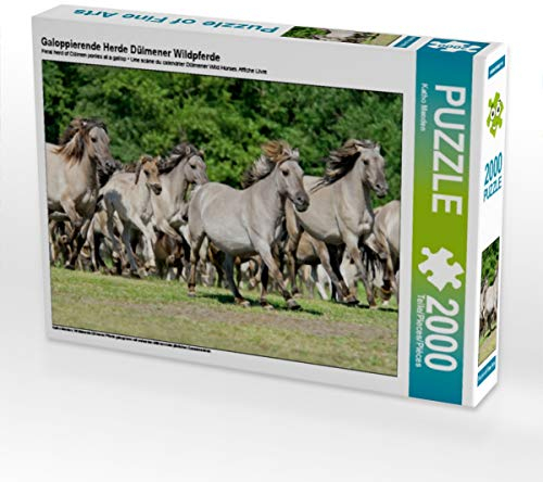 CALVENDO Puzzle Galoppierende Herde Dülmener Wildpferde 2000 Teile Puzzle quer | 2000 Teile Lege-Größe 90 x 67 cm Foto-Puzzle für glückliche Stunden