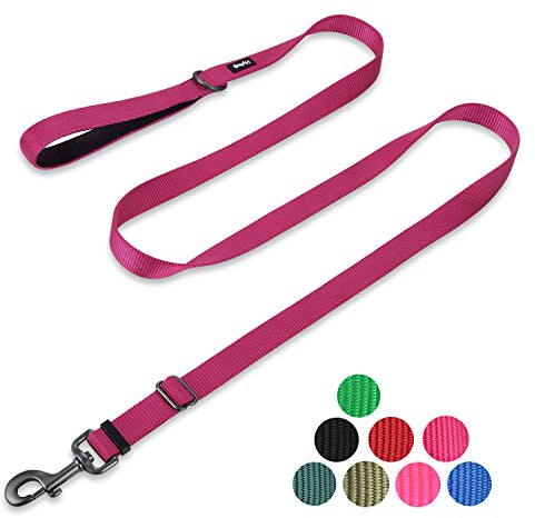 Hyhug 1,8 m Verstellbare Nylon Hundeleine mit weichem, gepolstertem Griff - Haltbare Leine mit einfachem Bolzkupplungsverschluss, ideal für große, mittlere und kleine Hunde (Groß, Rosenrot)
