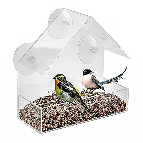 Livingshire Window Bird Feeder | Clear Perspex Hanging Bird Feeders with 3 Suction Cups | Feed Seed Peanut Nuts with Clear View | 1 x Feeding Station