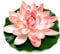 Seerose KüNstlich, Schwimmende Blumen, künstliche Lotus Simulation Wasser Lilie Blume Teich Dekoration Lotus Realistisch für Teichbecken Wasserdekoration Hellrosa