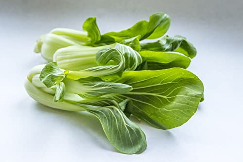 Chou de Chine Pak Choi 200 Graines