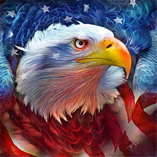 Yingxin34 3000 Stücke Puzzles für Erwachsene,Adler und Flagge, Gute Sammlungen und Geburtstagsgeschenke-48.03x31.88 Zoll (122 x 81cm)