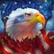 Yingxin34 3000 Stücke Puzzles für Erwachsene,Adler und Flagge, Gute Sammlungen und Geburtstagsgeschenke-48.03x31.88 Zoll (122 x 81cm)