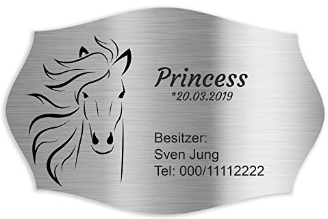 Jung Edelstahl Design Türschild verschiedene Größen und Motive personalisierbar. Briefkastenschild V2a Edelstahl selbstklebend (gebogen 90x60 mm)