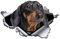 Auto Sticker Autoaufkleber 18Cm(7.08 In)Hellbrauner Dackel-Autoaufkleber, Zerrissener Metallaufkleber, Reflektierende Aufkleber, Wasserdicht, Auto-Styling, Haustier-Hunde-Aufkleber (Csyj1S582)