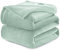 WAVVE Kuscheldecke Flauschig Decke Fleecedecke - Sofadecke 230x270 cm Wohndecke Couchdecke, Salbei Grün Decke Sofa Leicht, Hellgrün Groß Decke Riesig Sofaüberwurf Weich