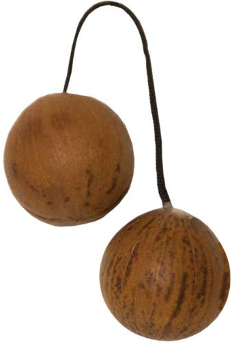 Terre Thelevi S - Cocktail Shaker - 2 Samenkapseln mit einer Schnur verbunden - Braun - Holz