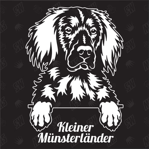 Münsterländer Version 1 - Sticker, Aufkleber, Hundeaufkleber, Autoaufkleber, Hund, Auto, Hunderassen, Mischling, Mix, Tiere, Haustier (AUCH MIT Wunschname MÖGLICH)