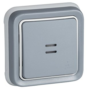 Legrand, 191511 Plexo - Interruptor de pared luminoso, pulsador estanco de superficie de la gama Plexo, interruptor exterior, resistente al agua (IP55), color gris