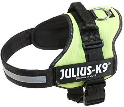 K9 Powergeschirr, Größe: L/1, Neon