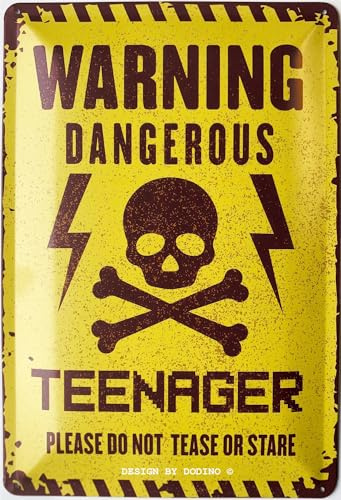 DODINO 20x30cm retro blechschilder WARNING DANGEROUS TEENAGER Jungen & Mädchen Teenager Türschild Geschenkidee Zimmer Spruch Geschenk Idee Tür Deko Geburtstag